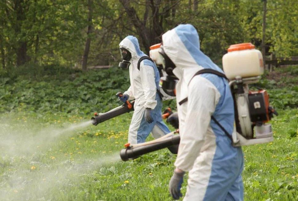 ФОТО Уничтожение клопов в Новосибирске