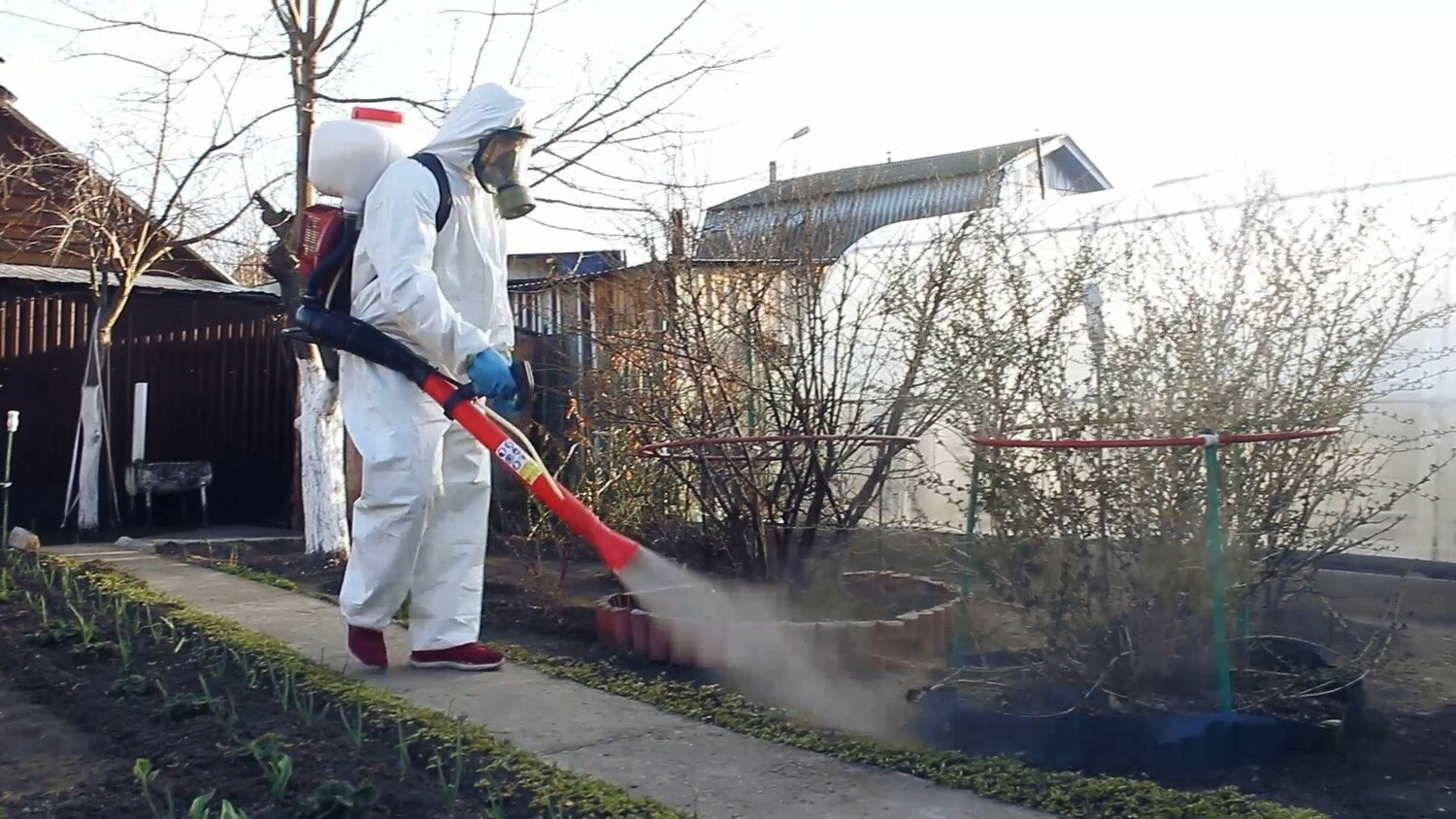 ФОТО Уничтожение муравьёв в Новосибирске