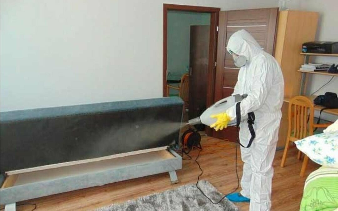 ФОТО Уничтожение блох в Новосибирске