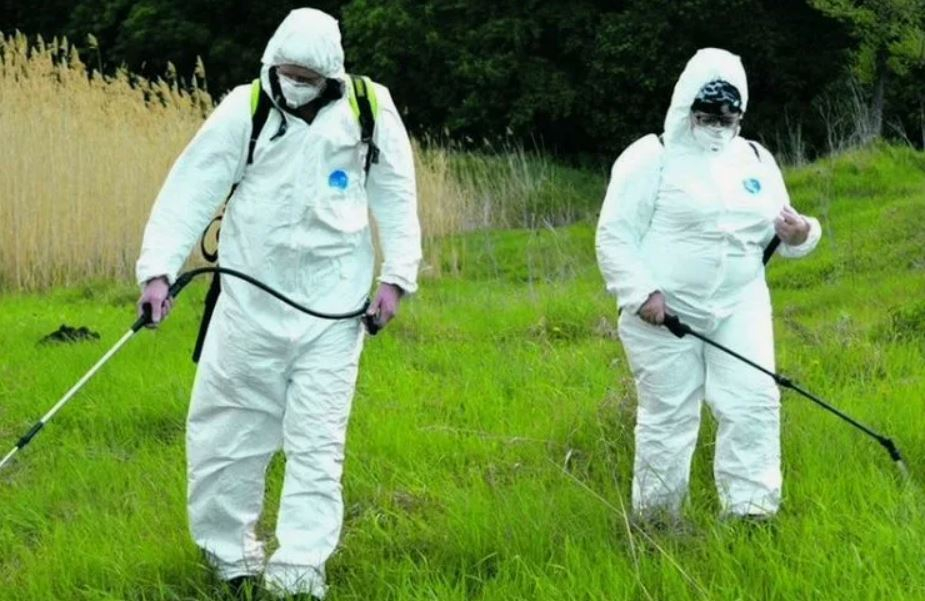 ФОТО Обработка от клещей в Новосибирске