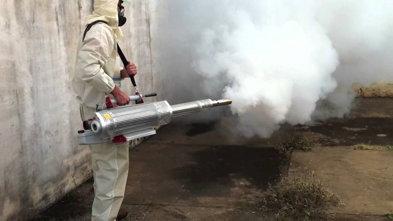 ФОТО Уничтожение мух в Новосибирске