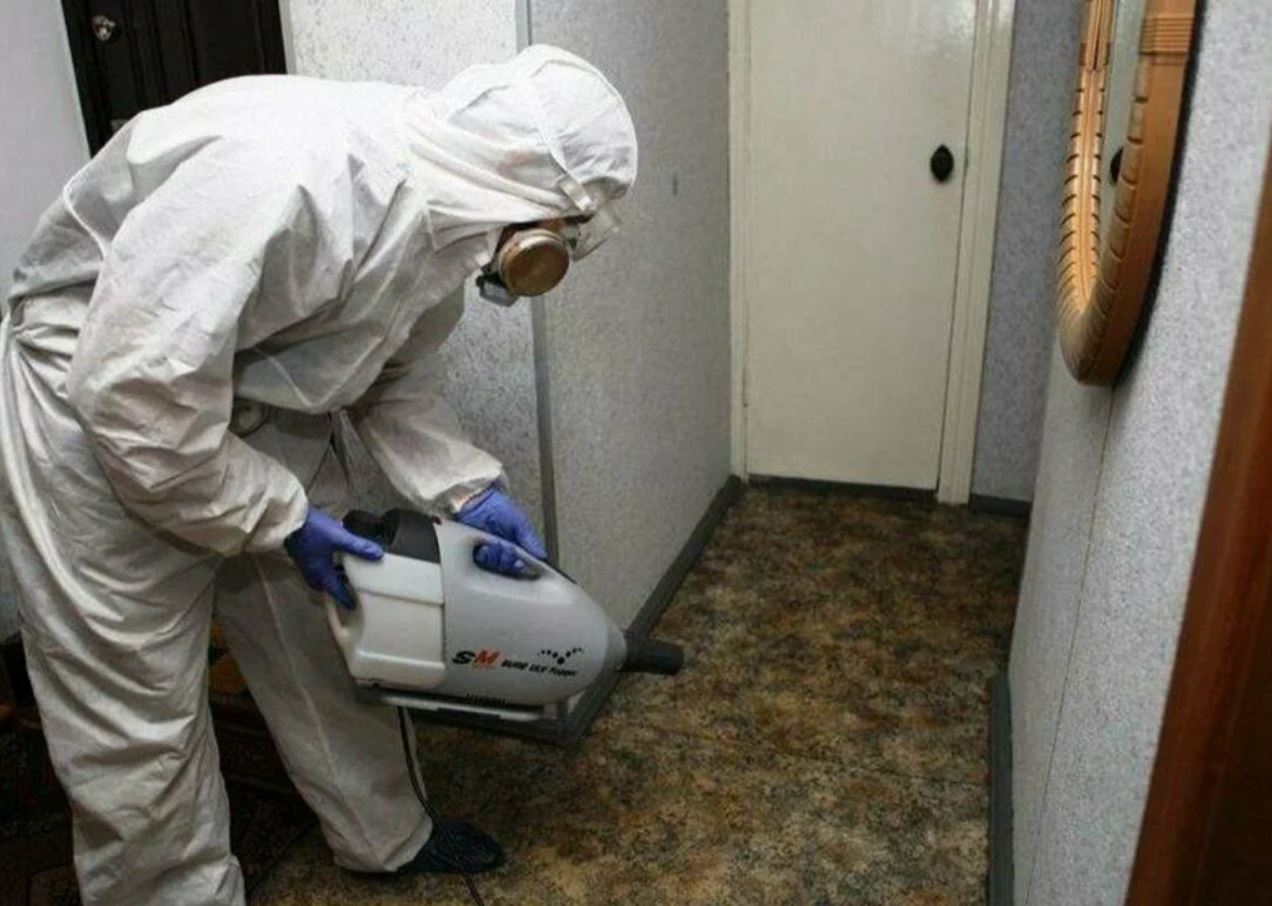 ФОТО Какие методы обработки для дезинсекции существуют в Новосибирске? | подробно