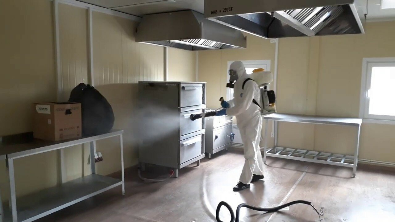 ФОТО Можно ли провести дезинсекцию самостоятельно и какие существуют риски в Новосибирске? | подробно