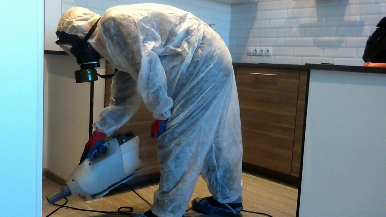 ФОТО Как подготовить домашних животных к обработке от насекомых в Новосибирске? | подробно