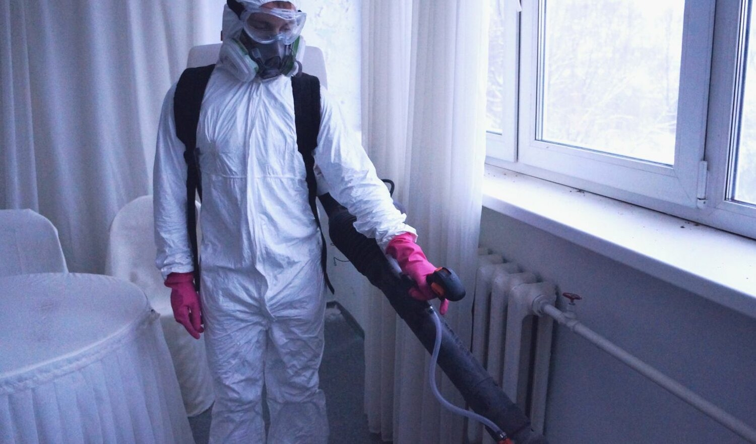 ФОТО Нужно ли выносить растения при дезинсекции в Новосибирске? | подробно