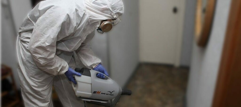 ФОТО Остаются ли следы после обработки квартиры от насекомых в Новосибирске? | подробно