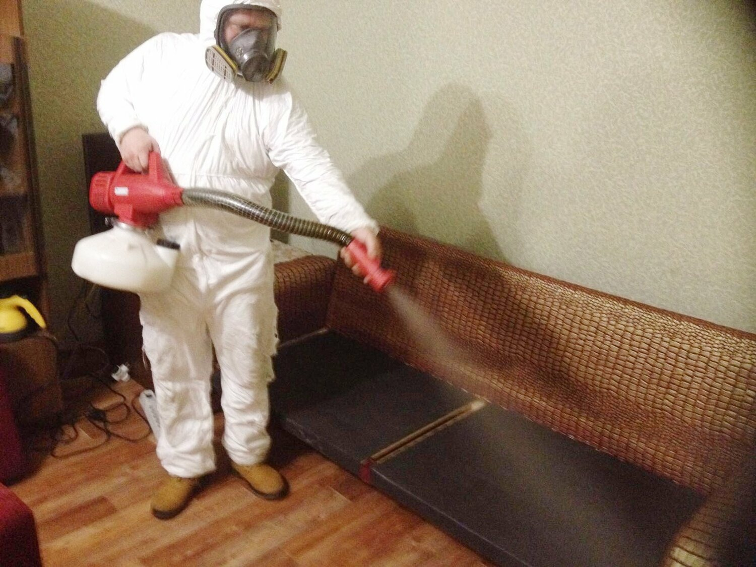 ФОТО Когда можно вернуться в помещение после дезинсекции в Новосибирске? | подробно